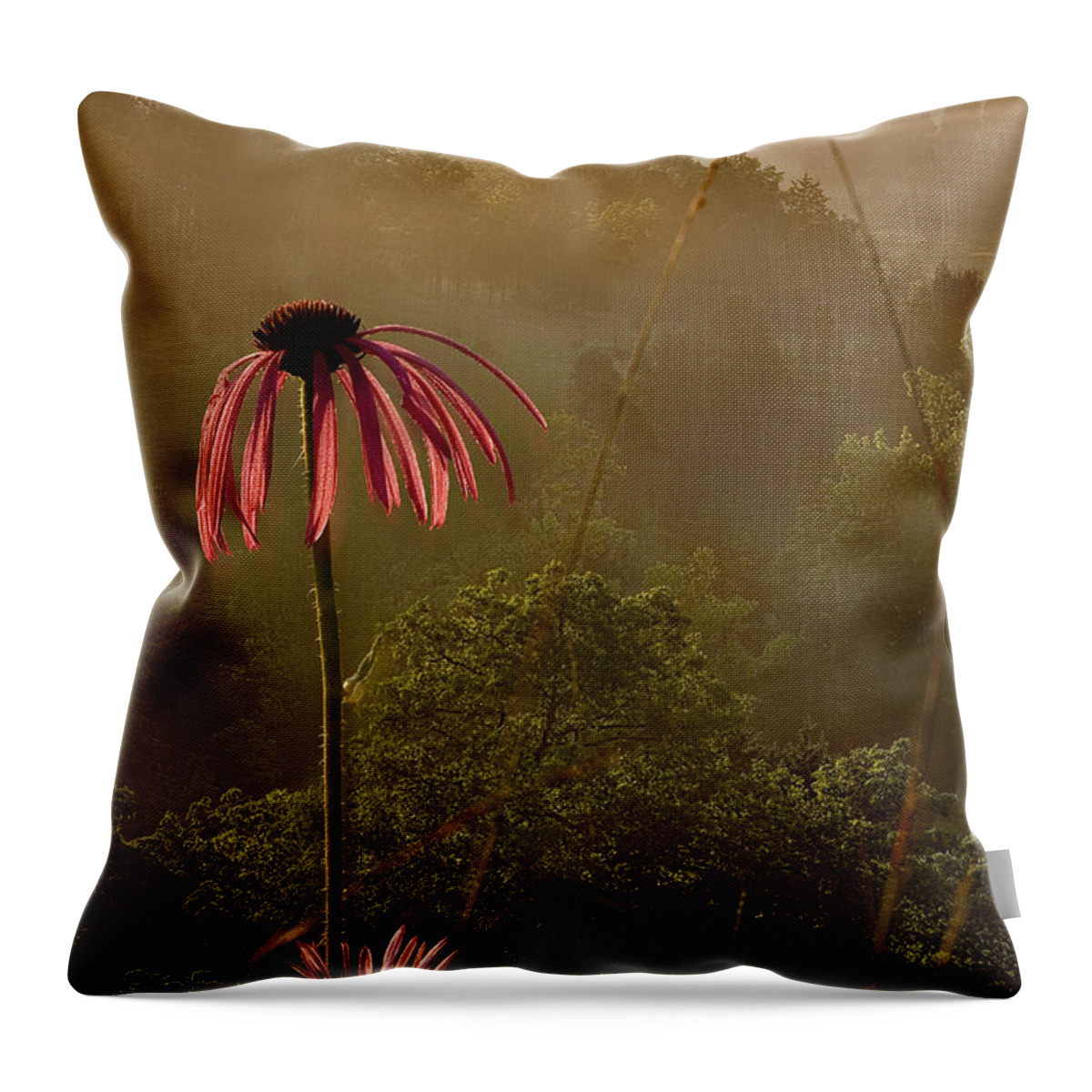 2010 Throw Pillow featuring the photograph Mist on the Glade by Robert Charity