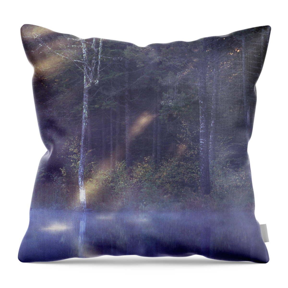 Nature Throw Pillow featuring the photograph Misty Moody Morning by Laura Tucker