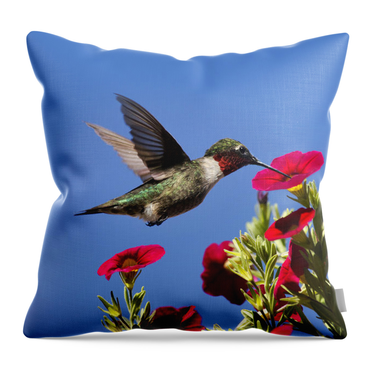 Hummingbird Throw Pillow featuring the photograph Moments of Joy by Christina Rollo