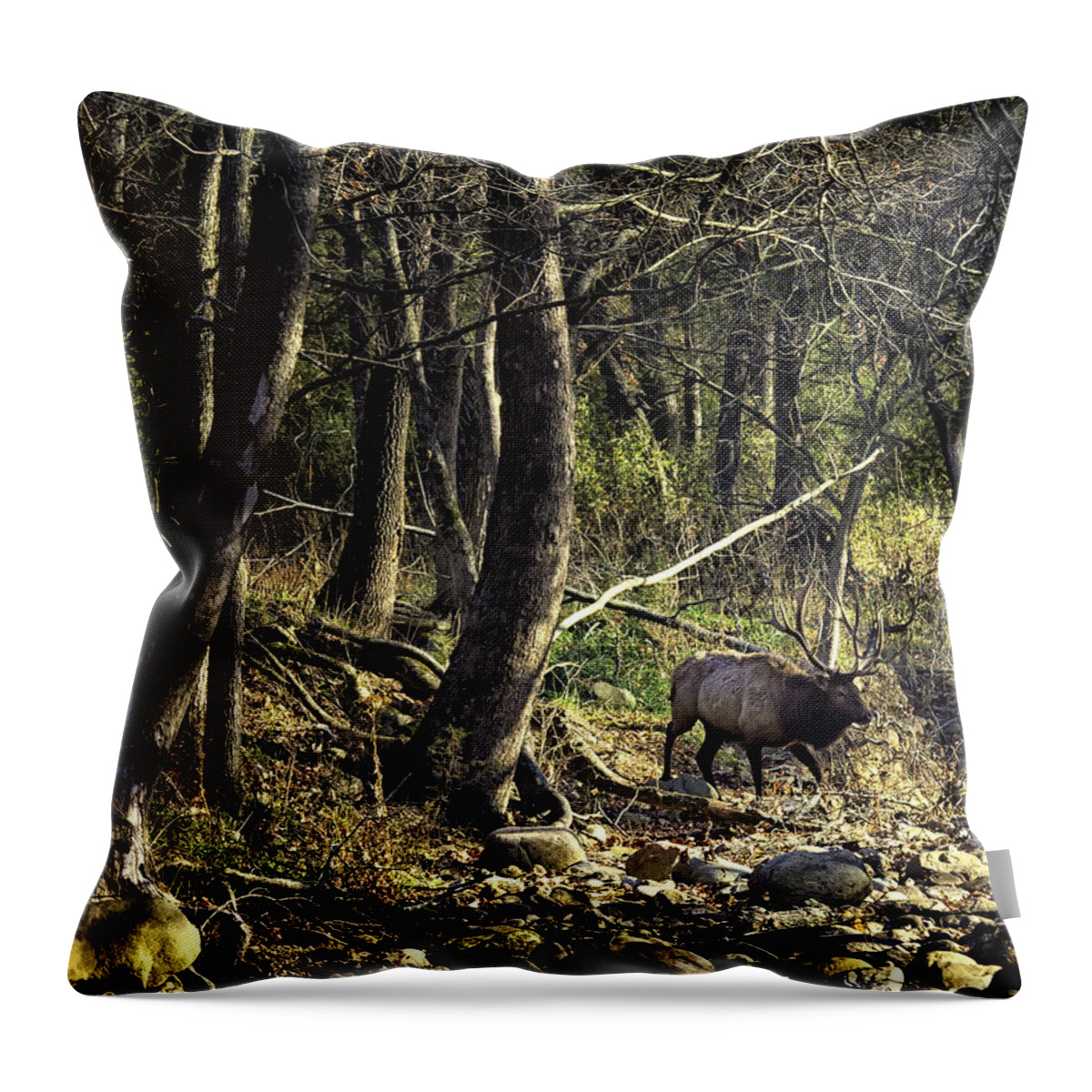 Bull Elk Throw Pillow featuring the photograph Monarch Crossing the Buffalo by Michael Dougherty