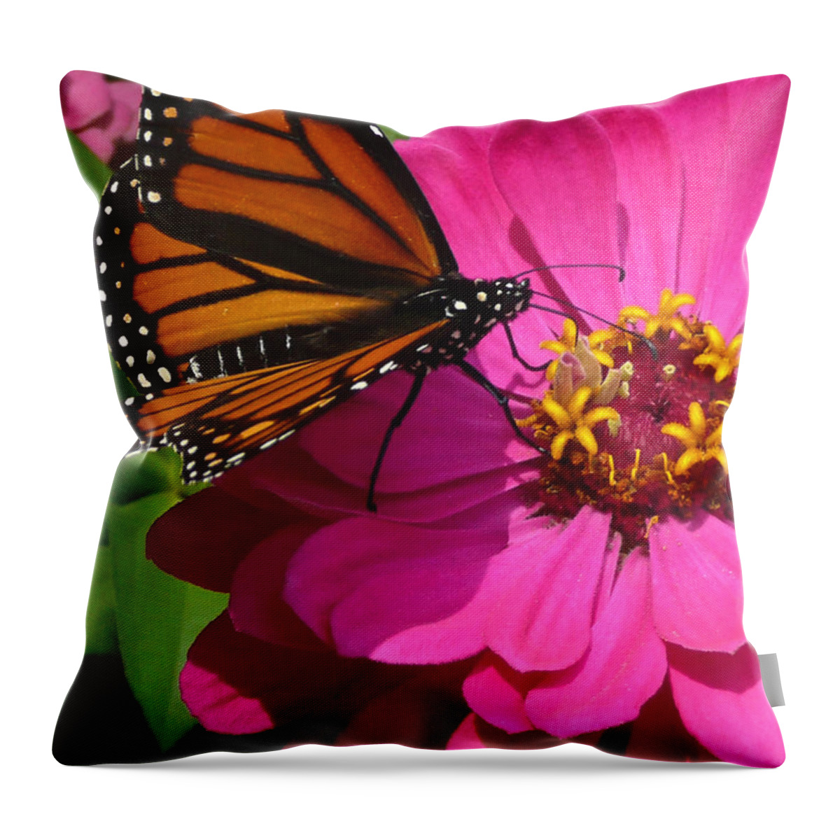 Monarch Throw Pillow featuring the photograph Monarch on Pink by Jayne Carney