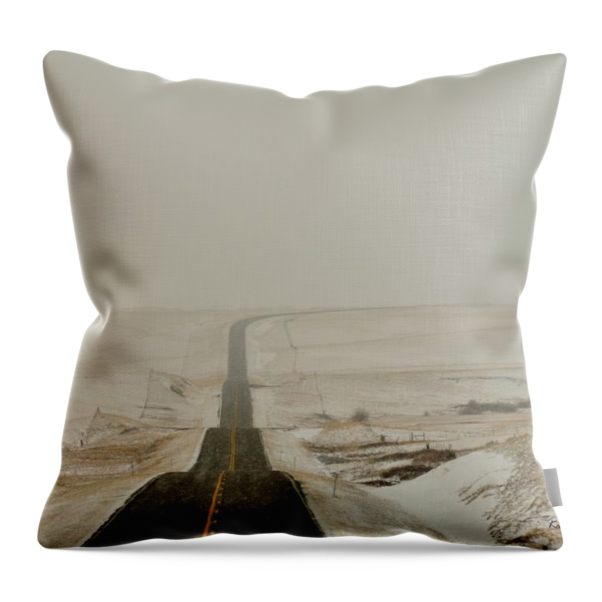 Highway Throw Pillow featuring the photograph Montana Highway 3 by Kae Cheatham