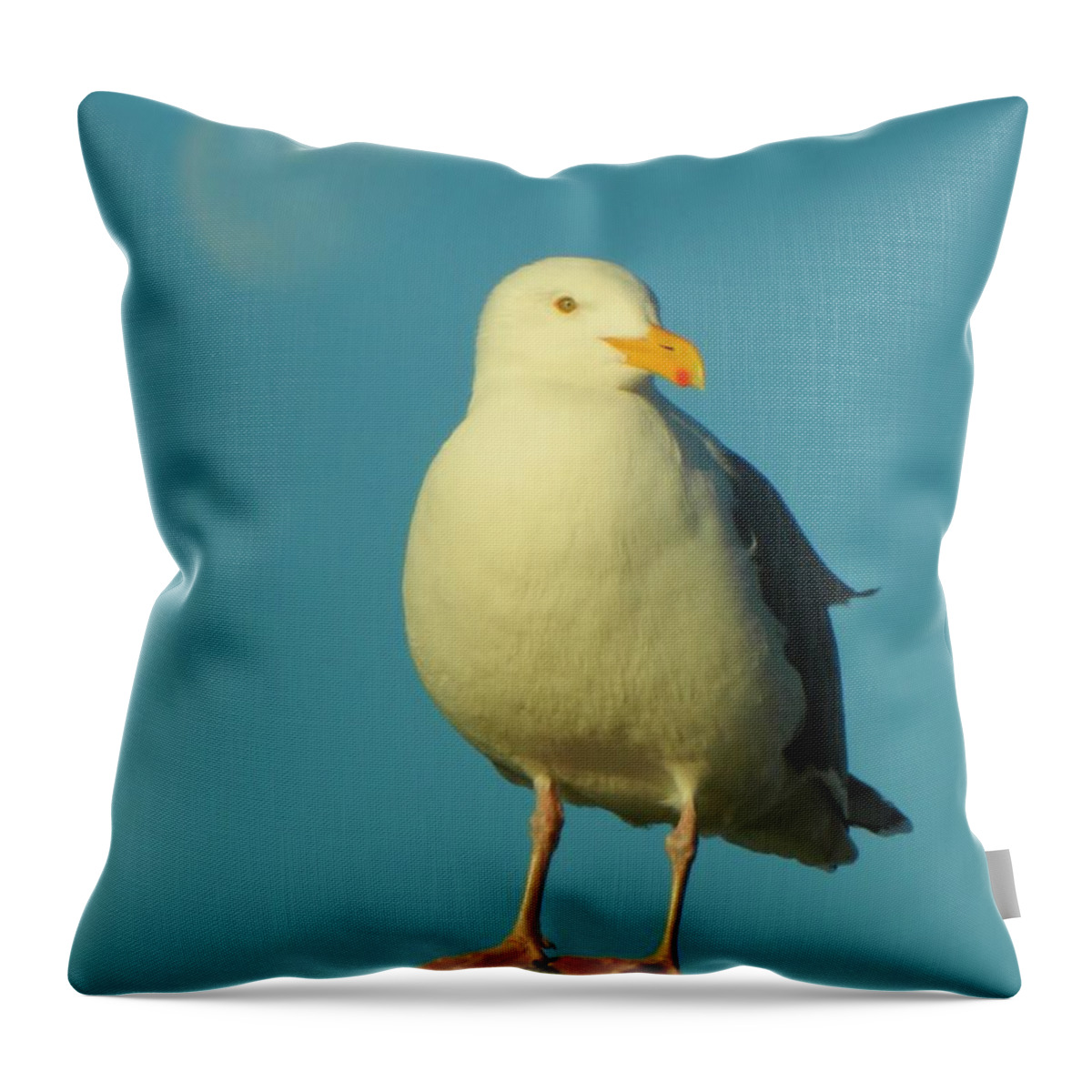 Birds Throw Pillow featuring the photograph Moon with Seagull by Gallery Of Hope 
