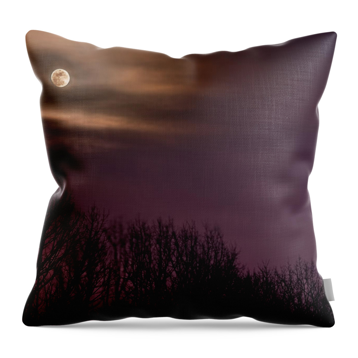 2008 Throw Pillow featuring the photograph Moonrise over Weldon Springs by Robert Charity
