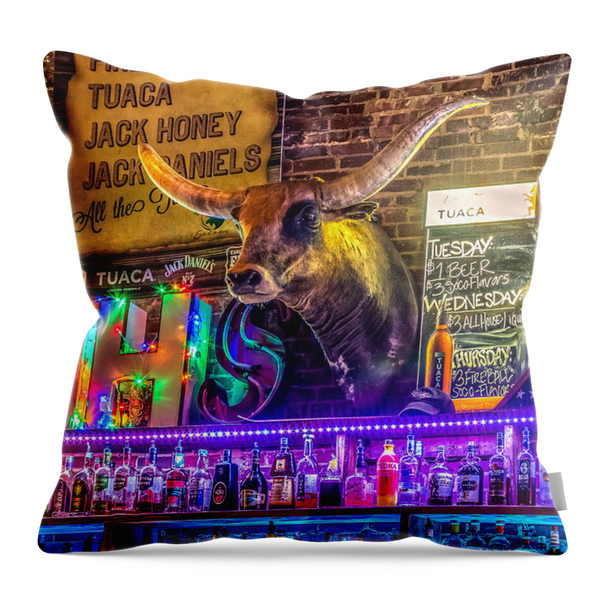 Alcohol Throw Pillow featuring the photograph Moose Head Saloon II by Traveler's Pics
