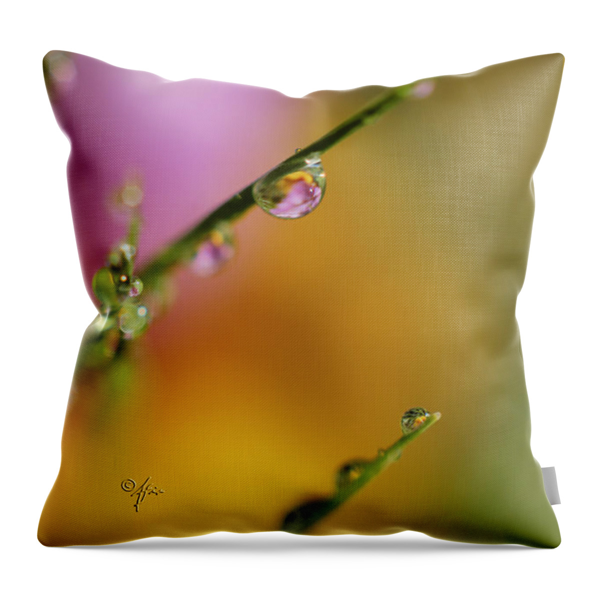 Close-up Throw Pillow featuring the photograph Morning Dew by Arthur Fix