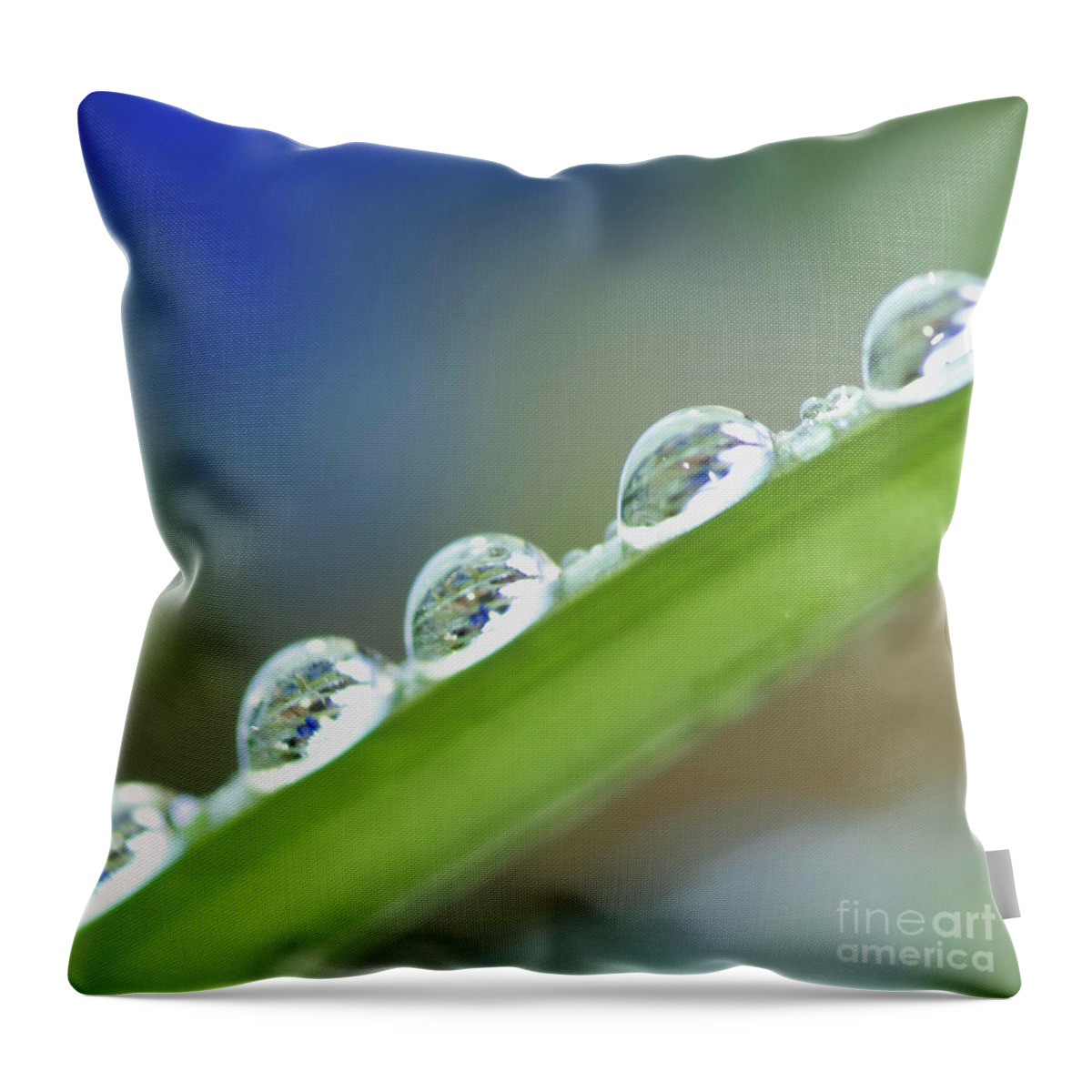 Drop Throw Pillow featuring the photograph Morning dew drops by Heiko Koehrer-Wagner