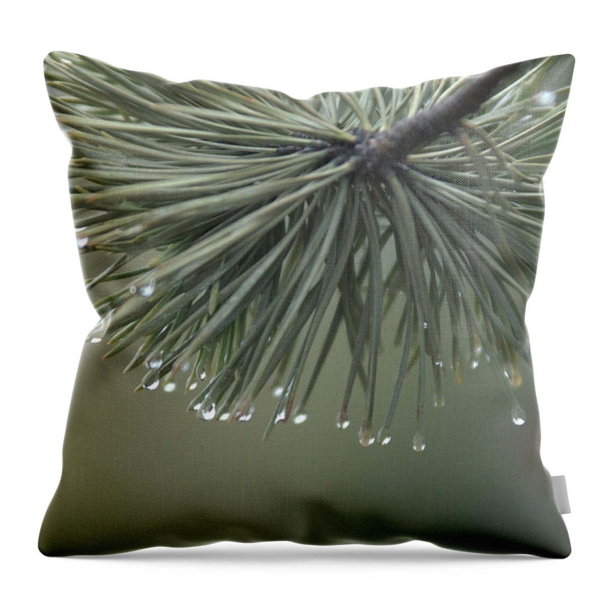 Fog Throw Pillow featuring the photograph Morning Fog by Frank Madia