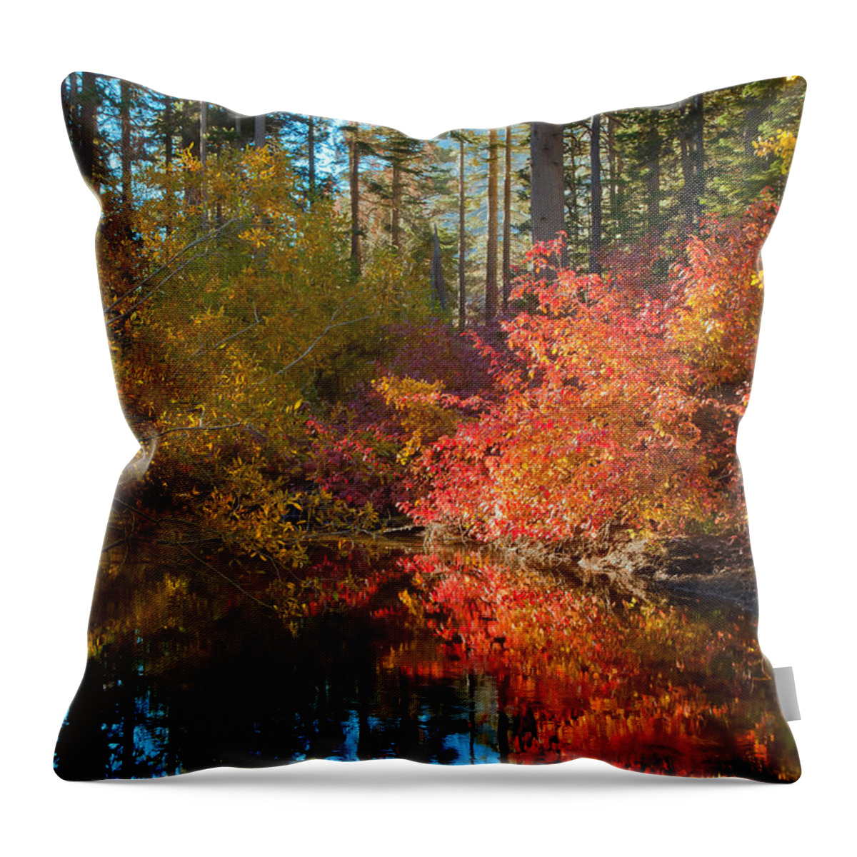Landscape Throw Pillow featuring the photograph Morning Glow by Jonathan Nguyen