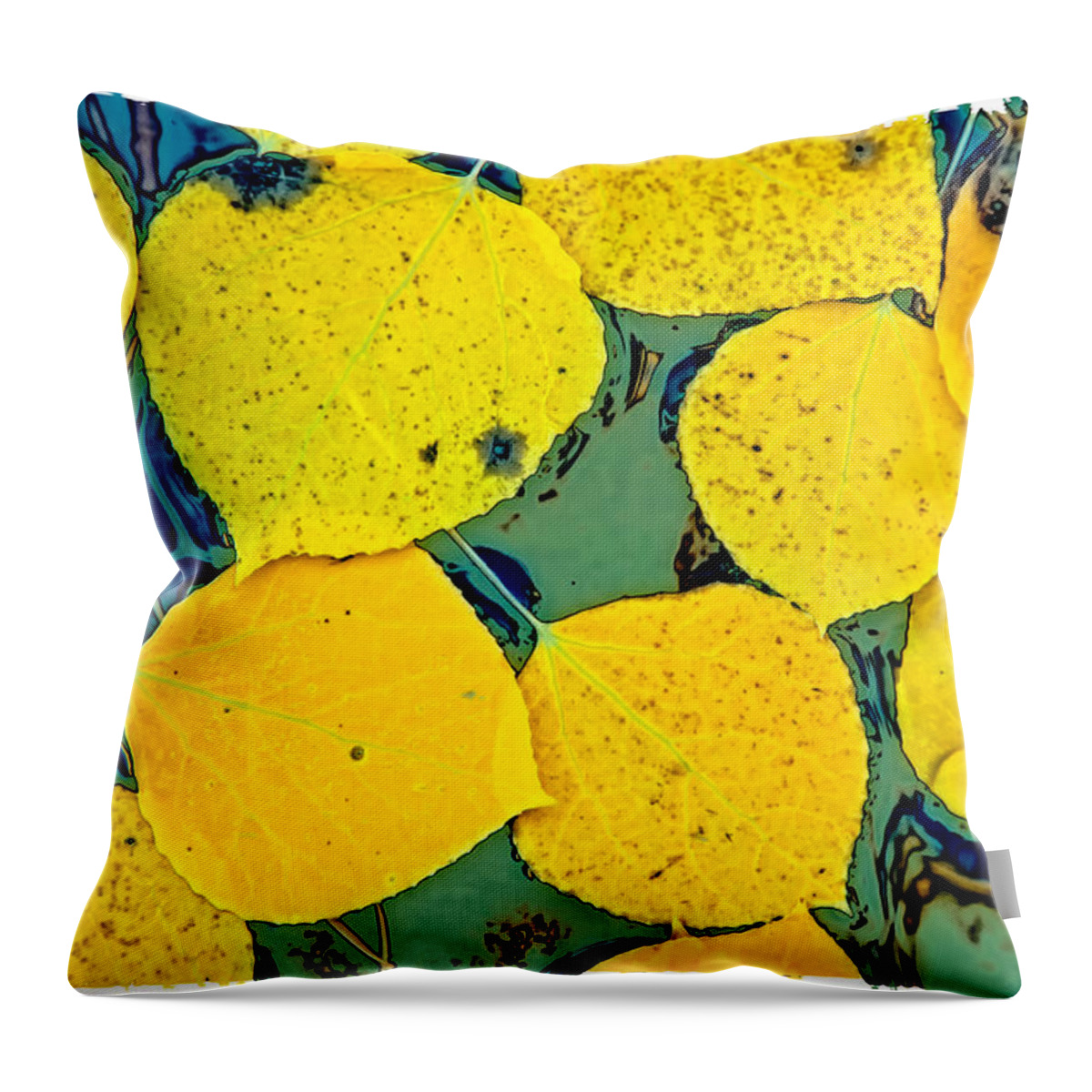 Fall Throw Pillow featuring the photograph Mosaic by Jonathan Nguyen