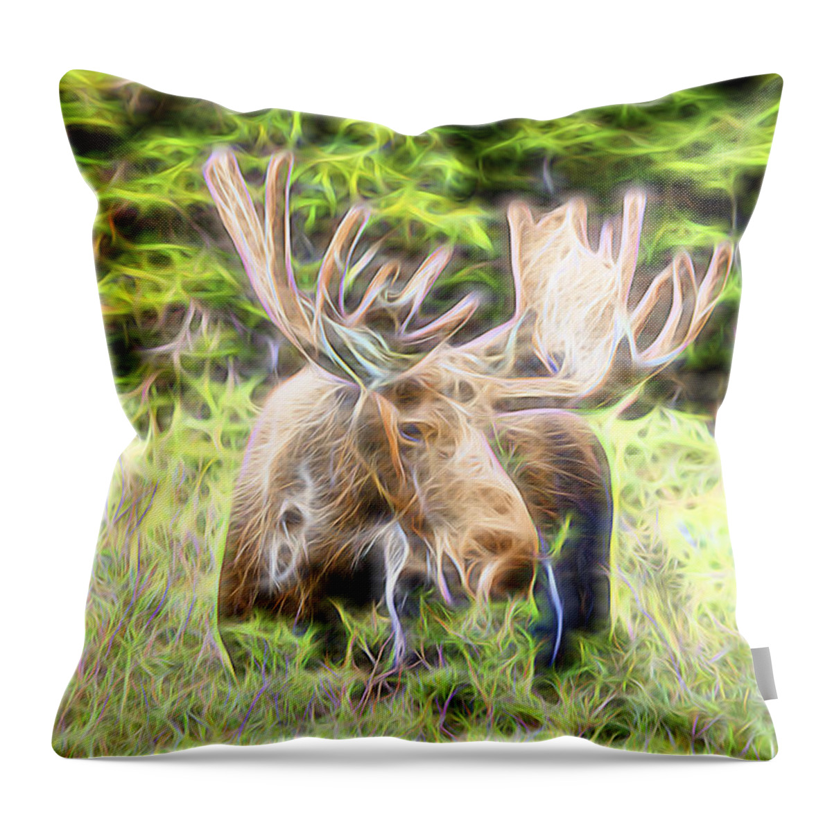 North America Moose Throw Pillow featuring the photograph Moose Glow by James BO Insogna