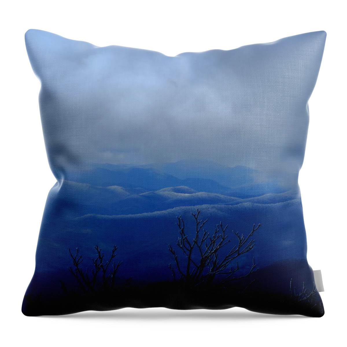 Landscape Throw Pillow featuring the photograph Mountains And Ice by Daniel Reed