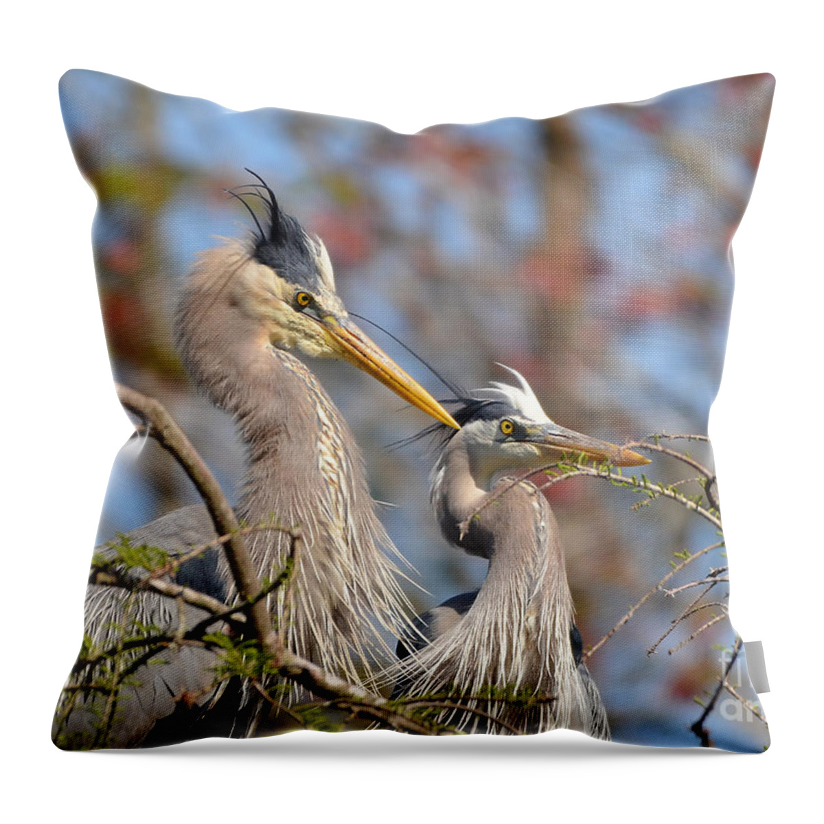 Heron Throw Pillow featuring the photograph Mr. And Mrs. by Kathy Baccari