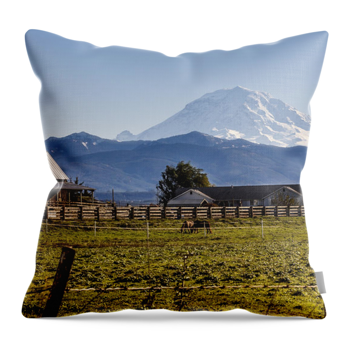 Ranch Throw Pillow featuring the photograph Mt Rainier Ranch by Tony Locke