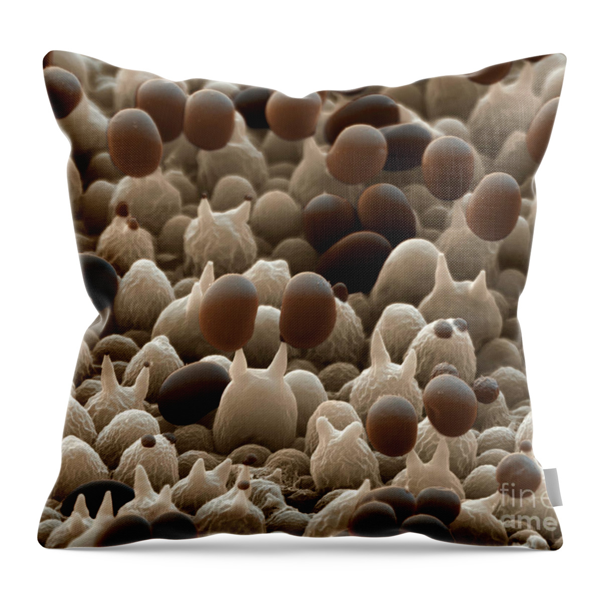 Mushroom Spore Print Pillow, 18