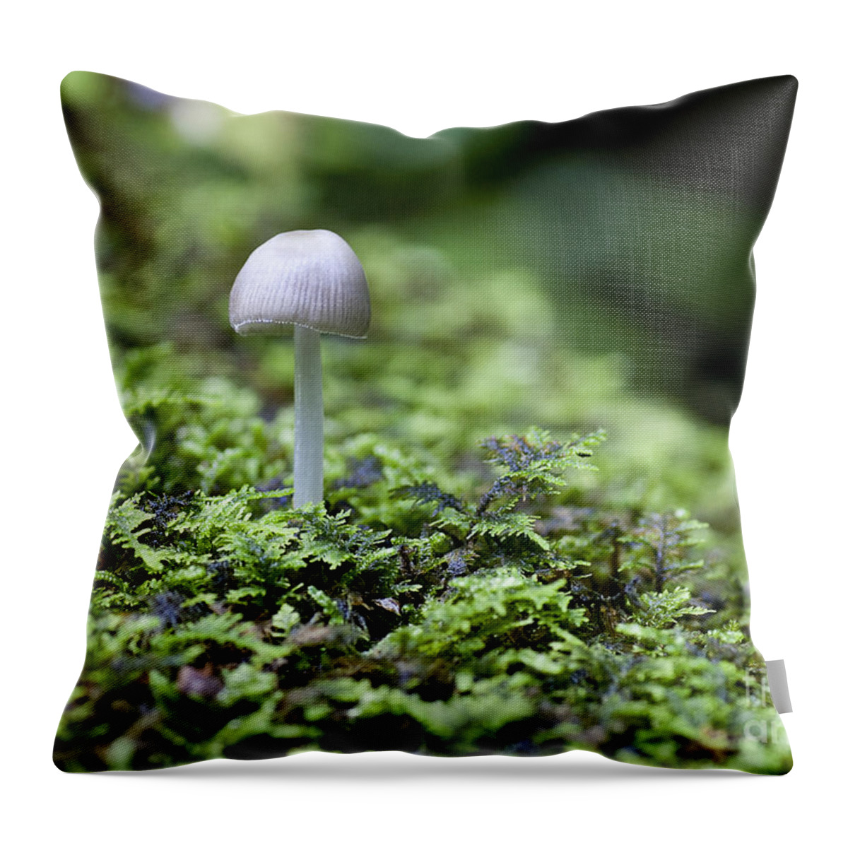 Ridgeway Throw Pillow featuring the photograph Mushroom by Steven Ralser