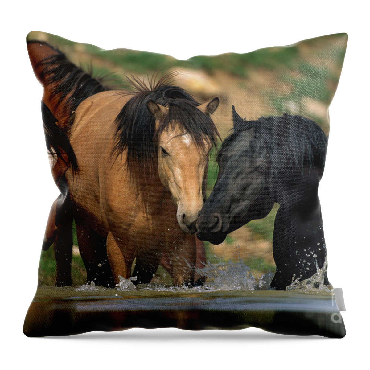00340043 Throw Pillow featuring the photograph Mustangs At Waterhole In Summer by Yva Momatiuk and John Eastcott