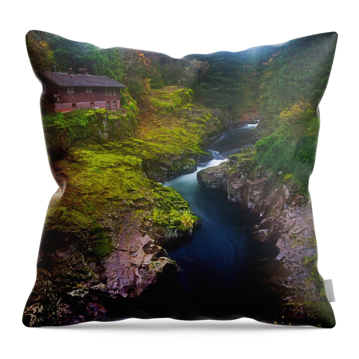 Fog Throw Pillow featuring the photograph Mysteries of the Lewis House by Darren White