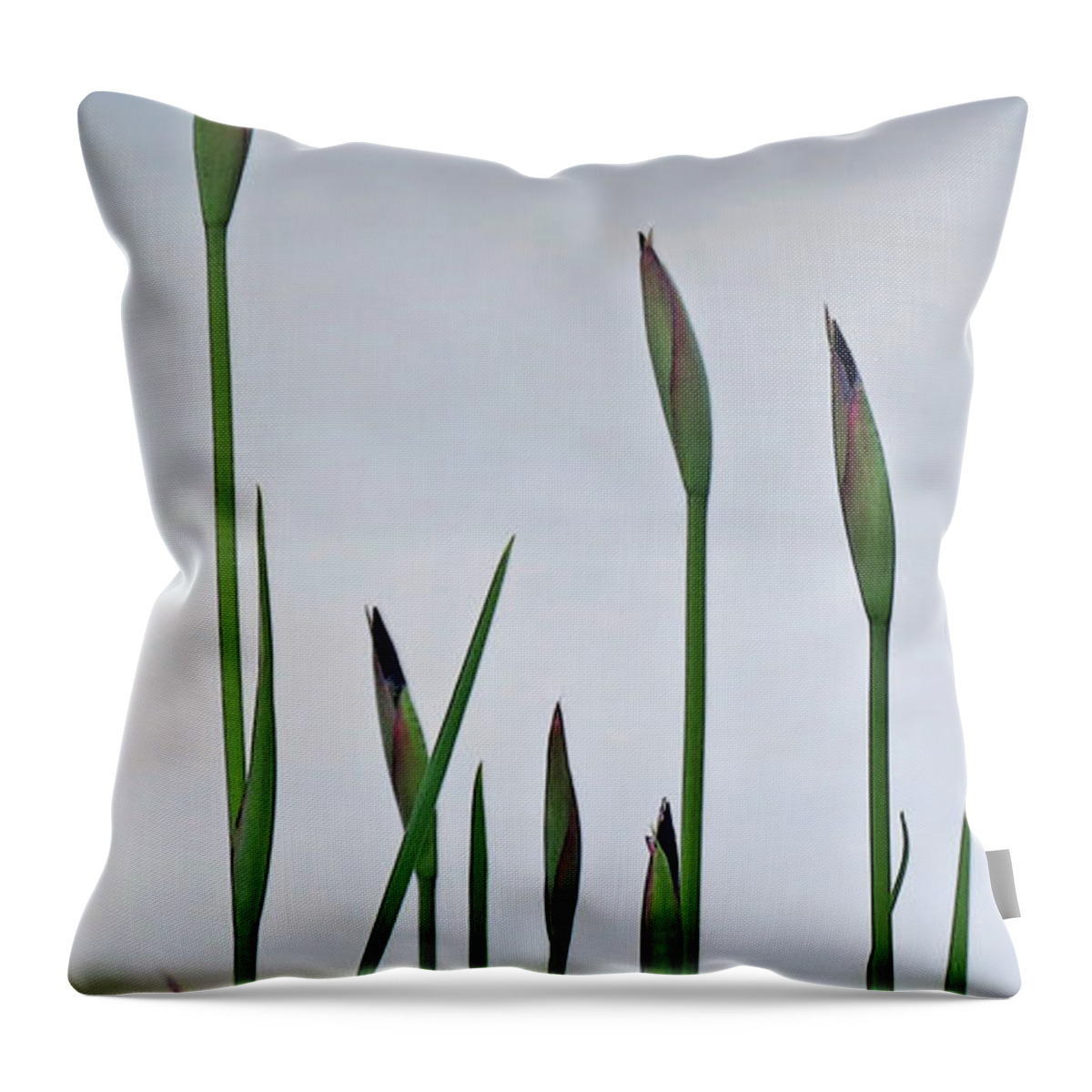 Minimal Throw Pillow featuring the photograph Nature's Grace by Deborah Smith