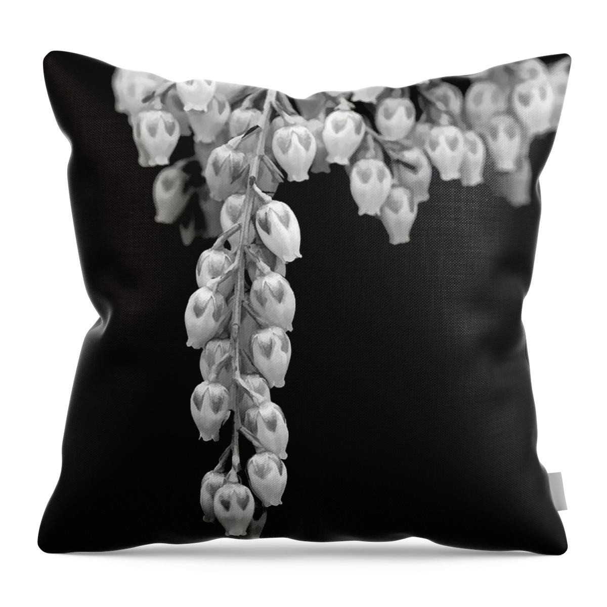 Andromeda Throw Pillow featuring the photograph Nature's Pearls by Jayne Carney