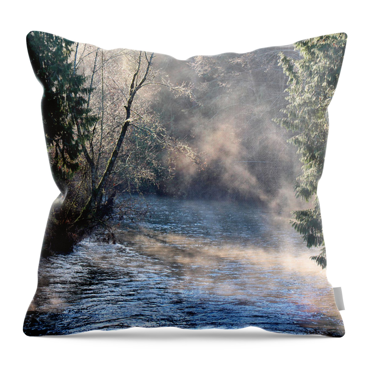 Landscape Throw Pillow featuring the photograph Nearer To Thee by Rory Siegel