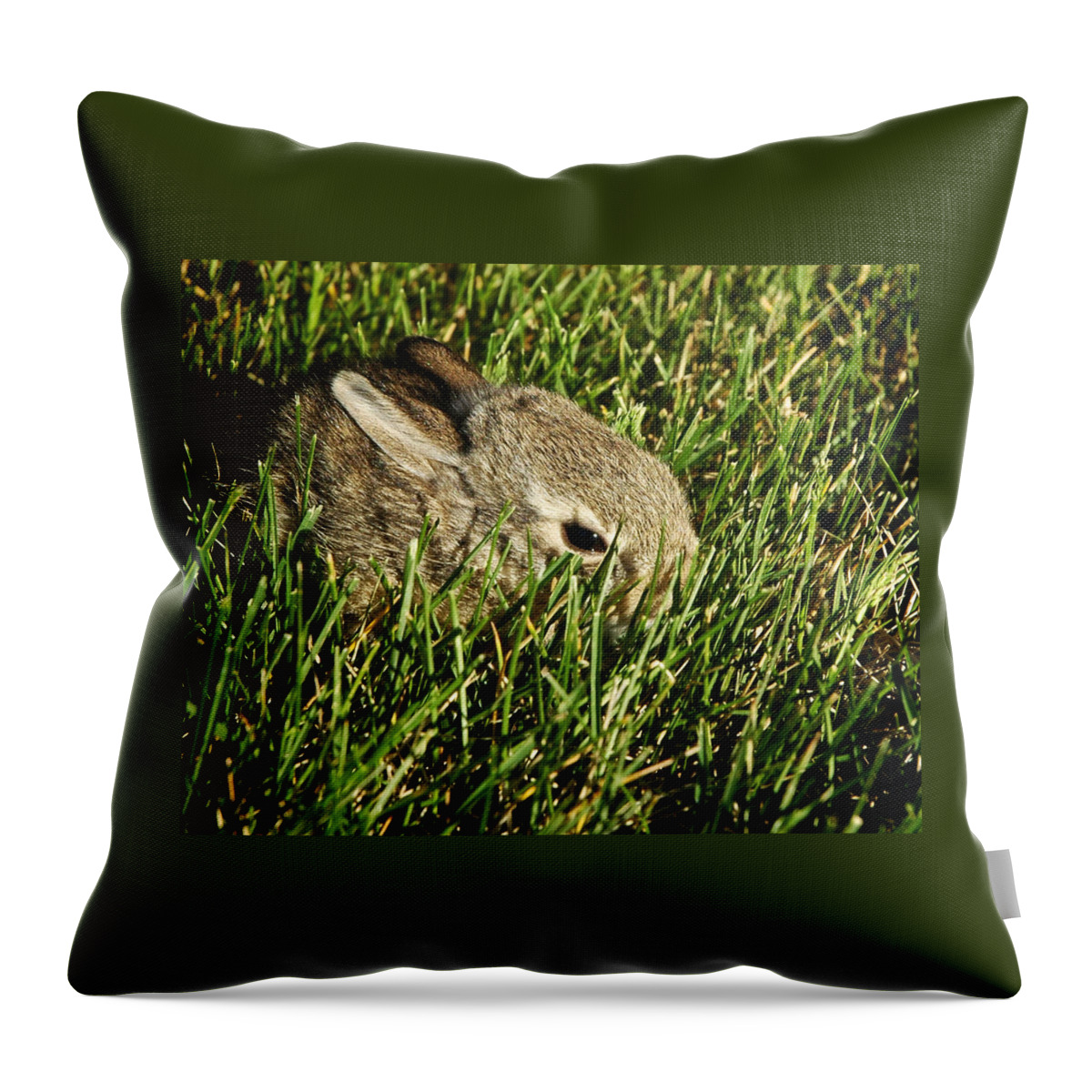 Animals Throw Pillow featuring the photograph The Baby Cottontail by Mary Lee Dereske
