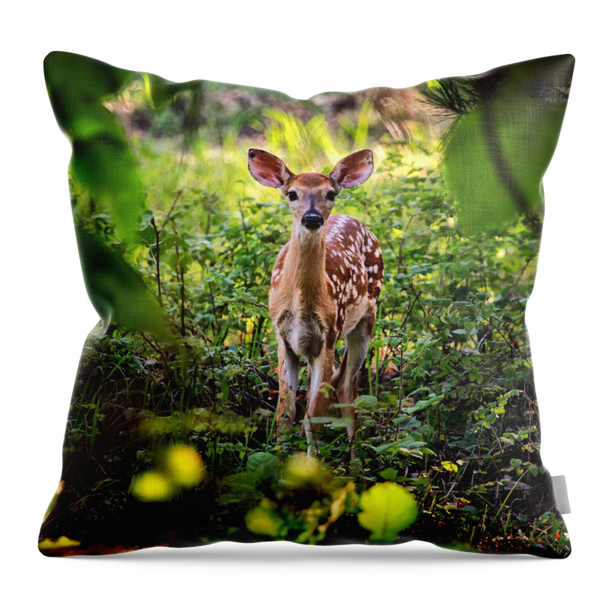 Whitetail Fawn Throw Pillow featuring the photograph Newborn Fawn by Michael Dougherty
