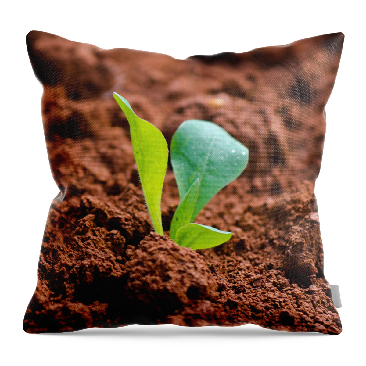 Plant Throw Pillow featuring the photograph Newborn Plant On Red Acre by Andreas Berthold