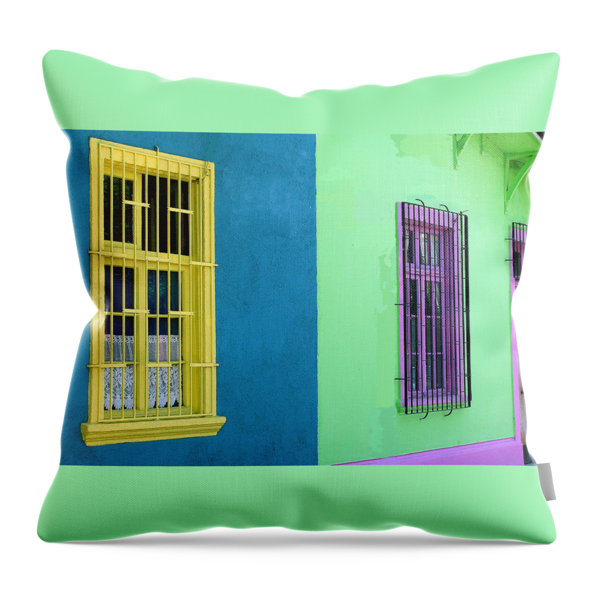 Streetscape Throw Pillow featuring the photograph Next Door to #4 by Rick Locke - Out of the Corner of My Eye