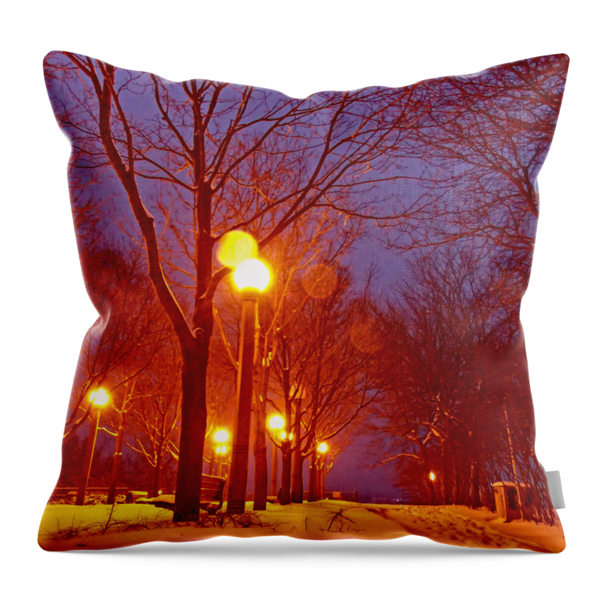 Toronto Throw Pillow featuring the photograph Night Falls by Nicky Jameson