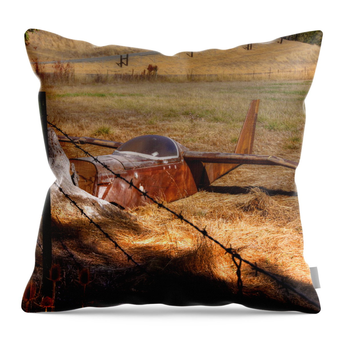 Sepia Throw Pillow featuring the photograph Not Ready For Takeoff by Kandy Hurley