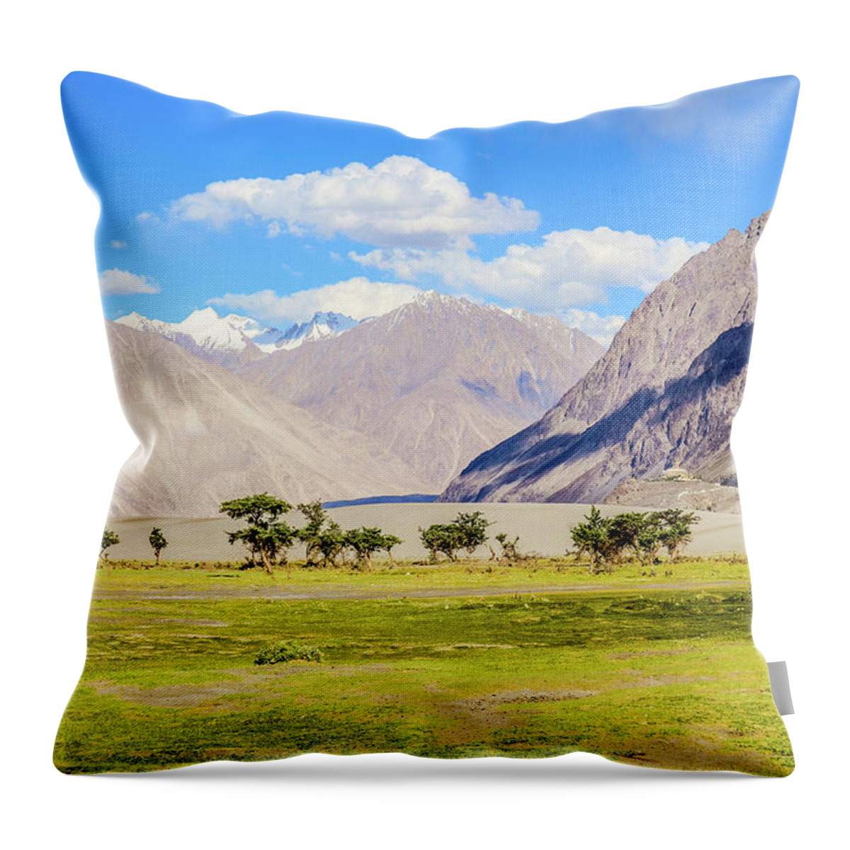 Nubra Valley Ladakh Throw Pillow by Puneet Vikram Singh, Nature