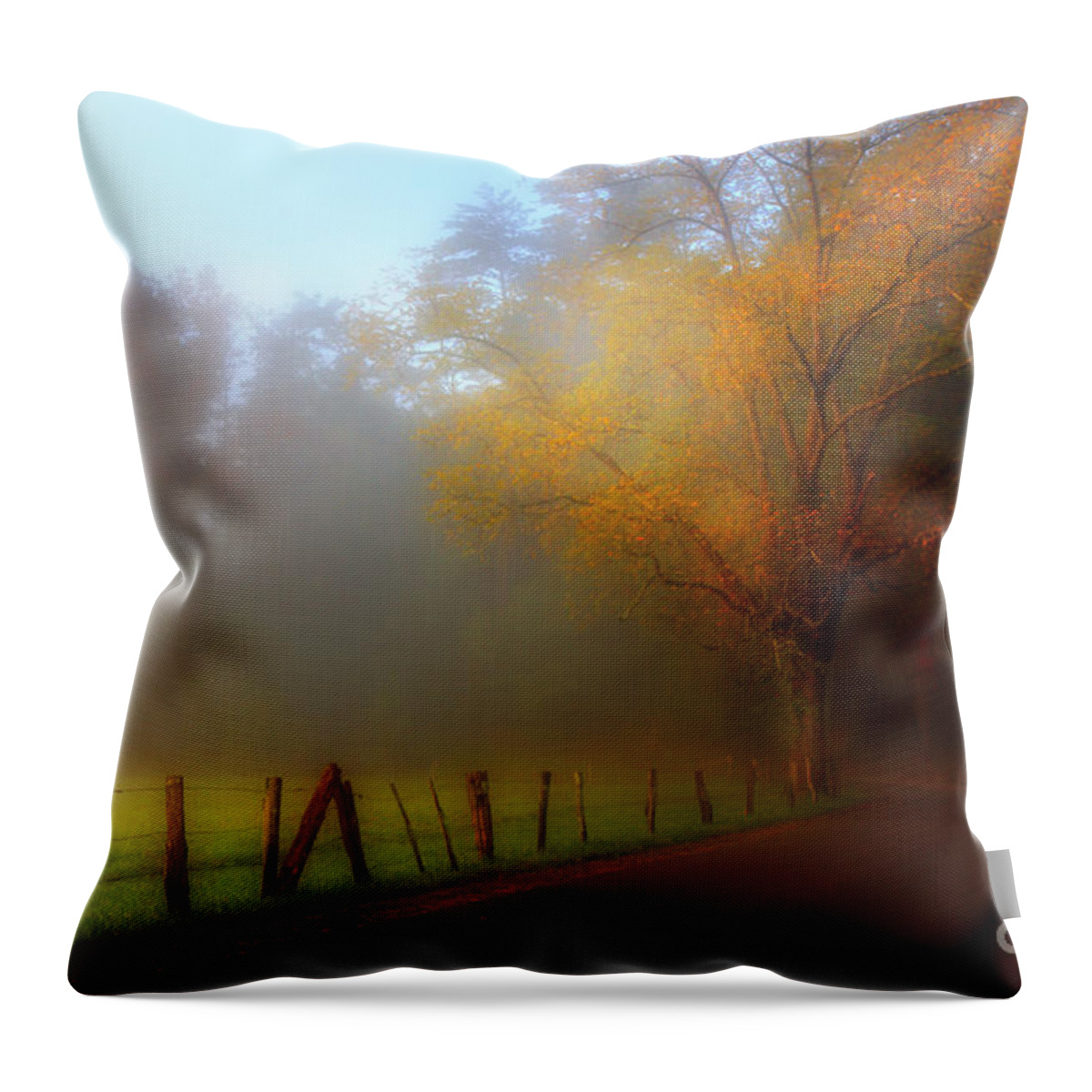 Cades Cove Throw Pillow featuring the photograph October And Fog by Michael Eingle