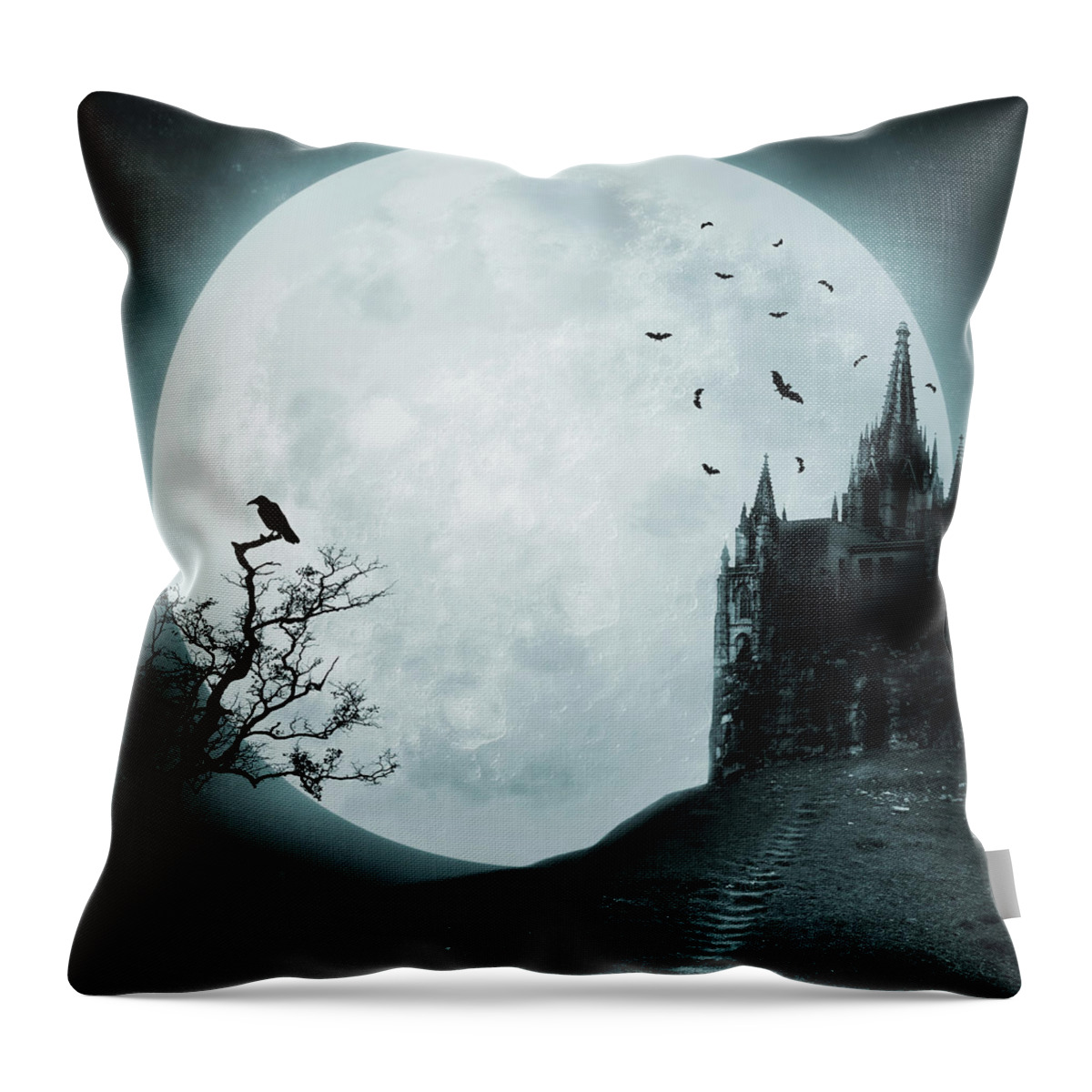Gothic Style Throw Pillow featuring the photograph Old Castle by Vladgans