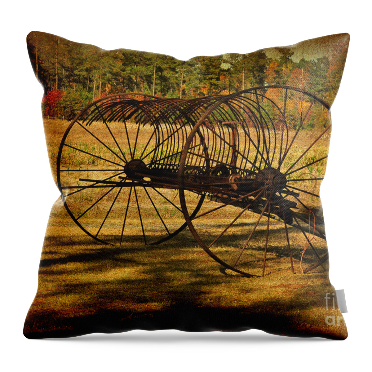 Hay Rake Throw Pillow featuring the photograph Old Rusty Hay Rake by Kathy Baccari