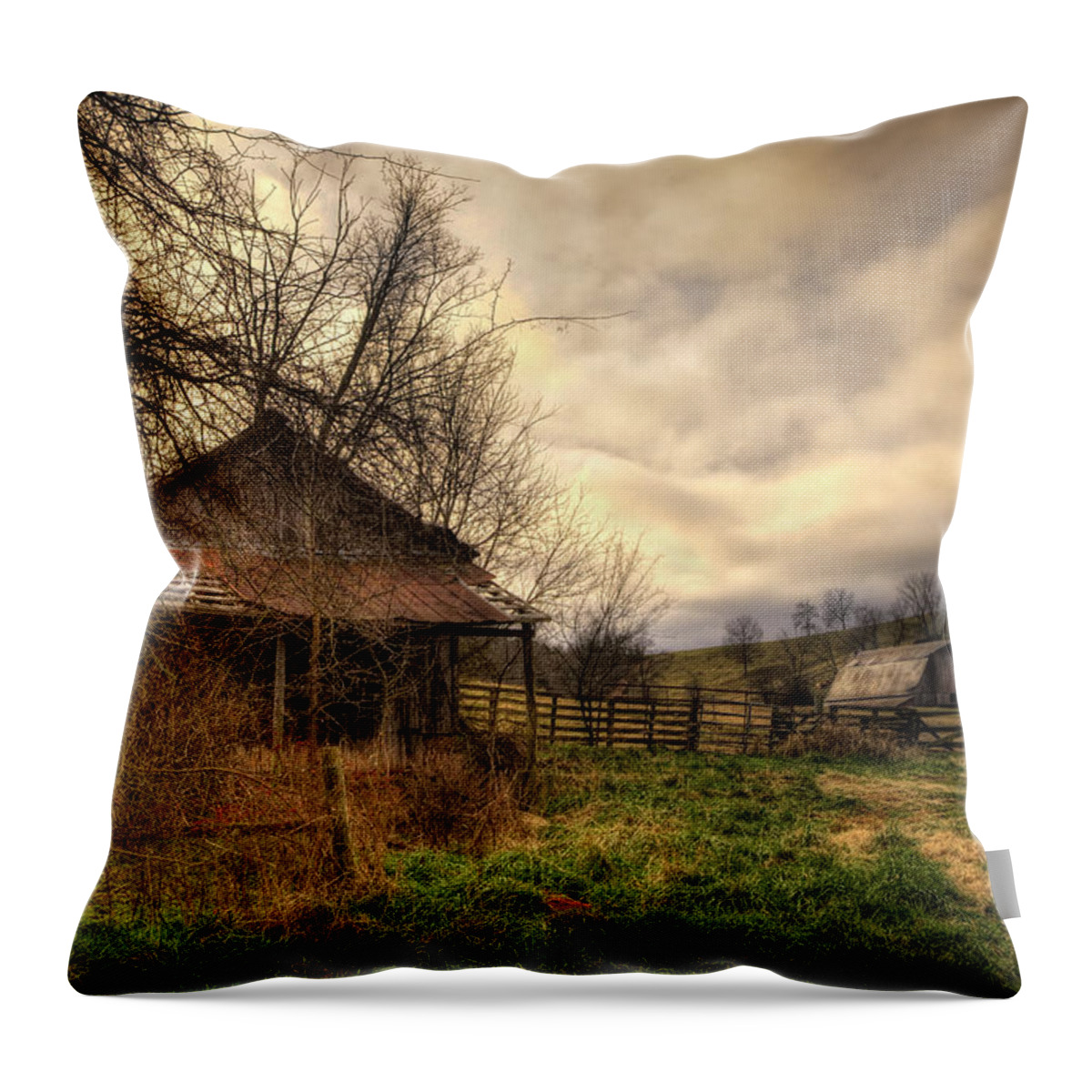 Old Building Throw Pillow featuring the photograph Old Shed and Barn at Osage by Michael Dougherty