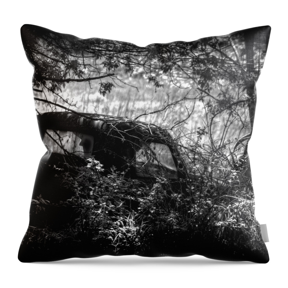 Truck Throw Pillow featuring the photograph Old Times Good Times by Thomas Young