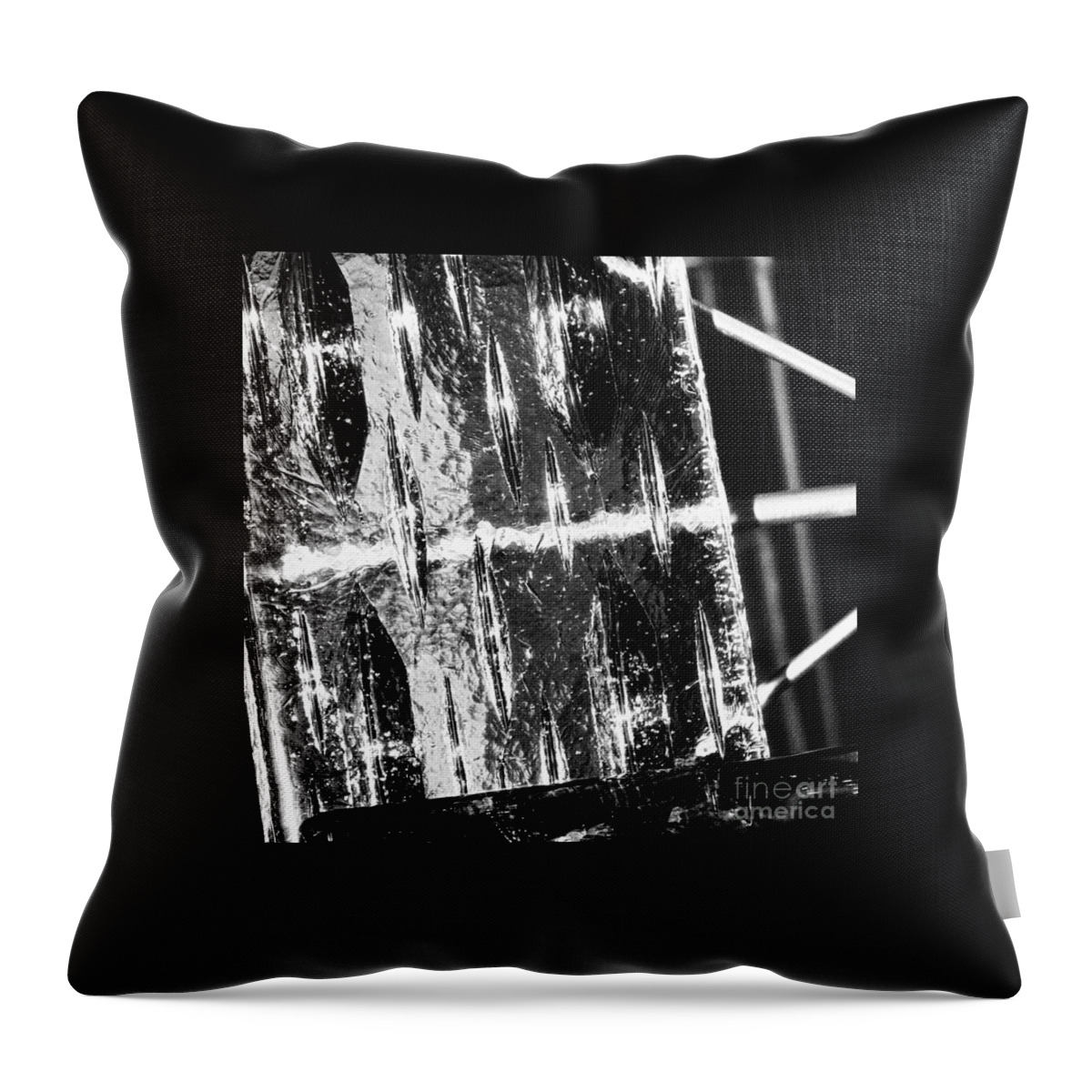 Ice Throw Pillow featuring the photograph On Ice by Eileen Gayle