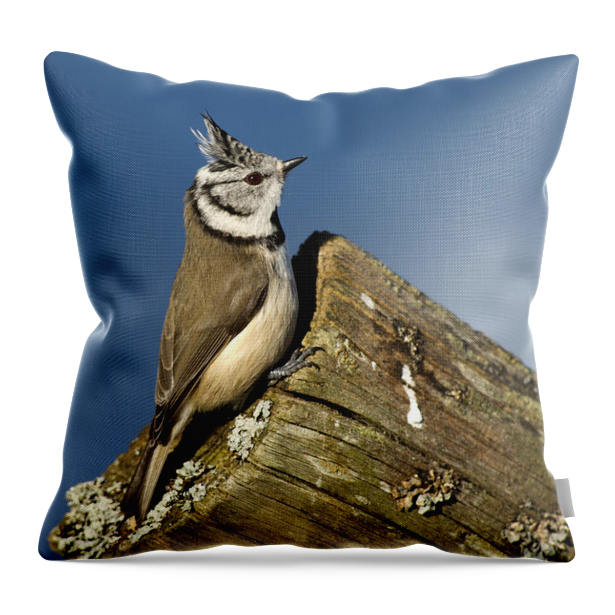 On The Edge Throw Pillow featuring the photograph On the edge by Torbjorn Swenelius