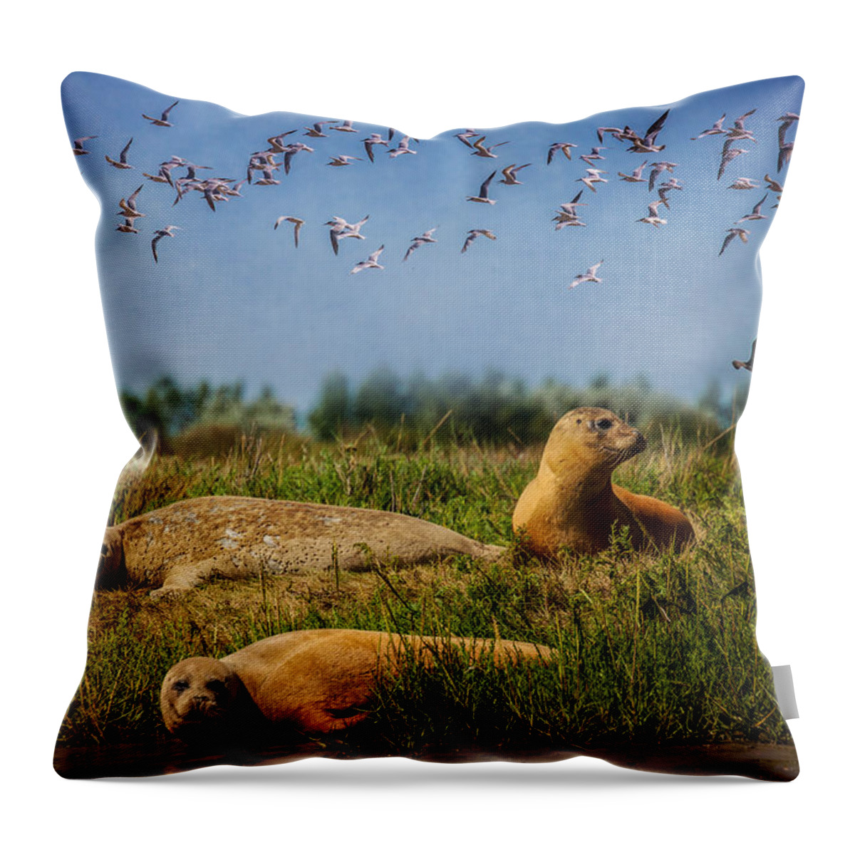 Seal Throw Pillow featuring the photograph On The Estuary by Chris Lord