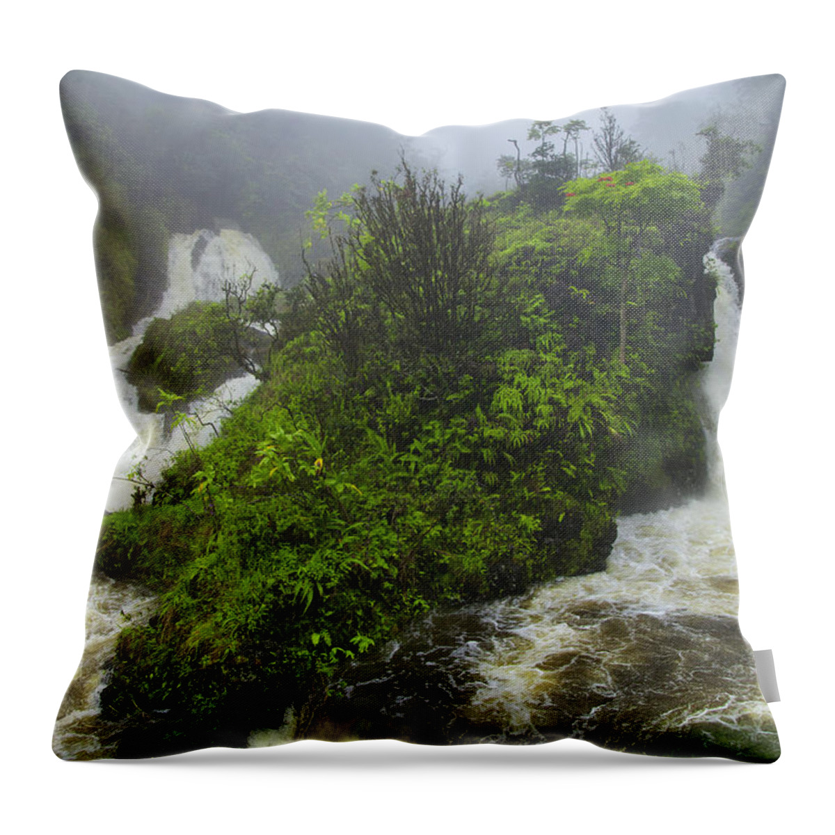 Maui Throw Pillow featuring the photograph On The Road To Hana by Theresa Tahara