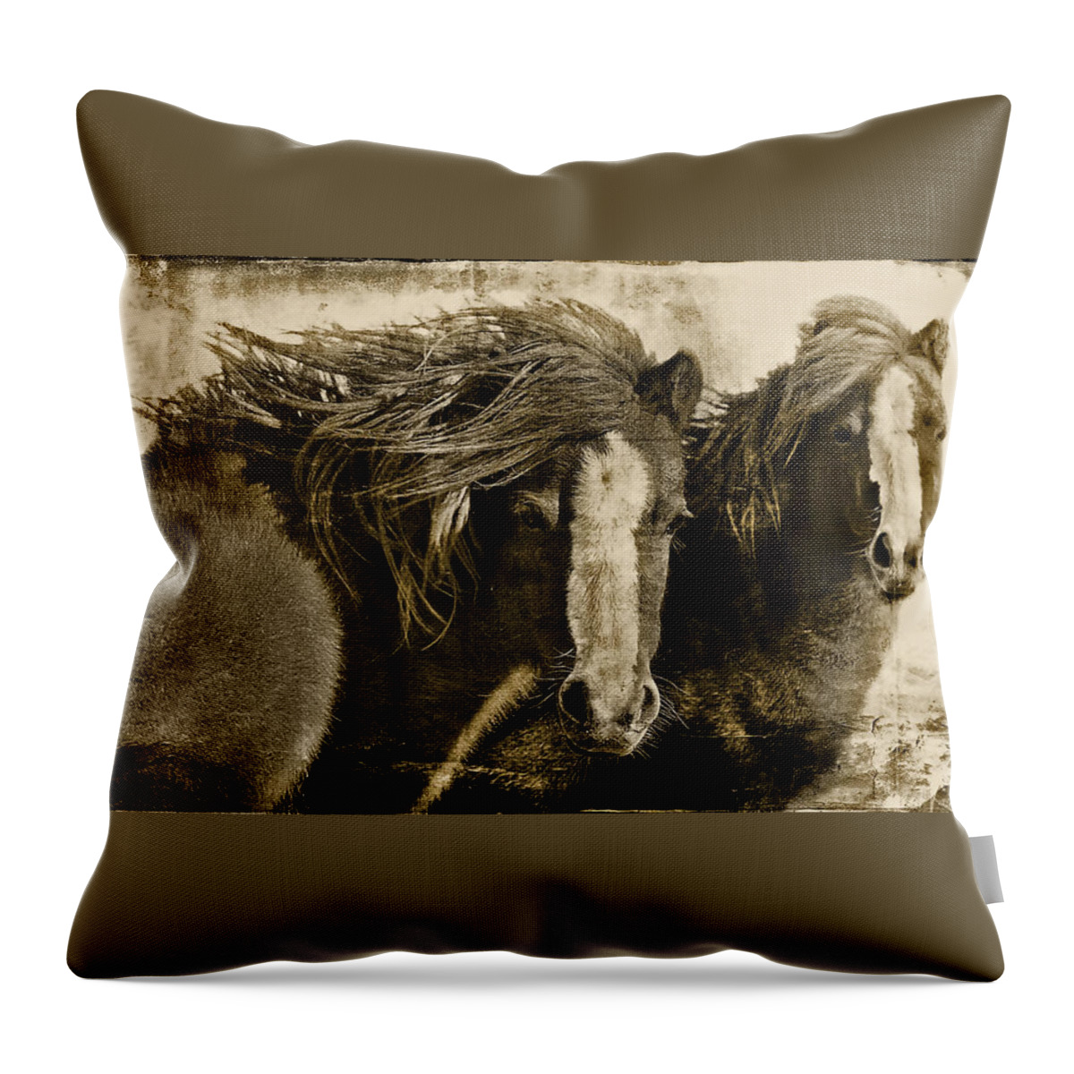 Pony Throw Pillow featuring the photograph Winds of Time by Amanda Smith