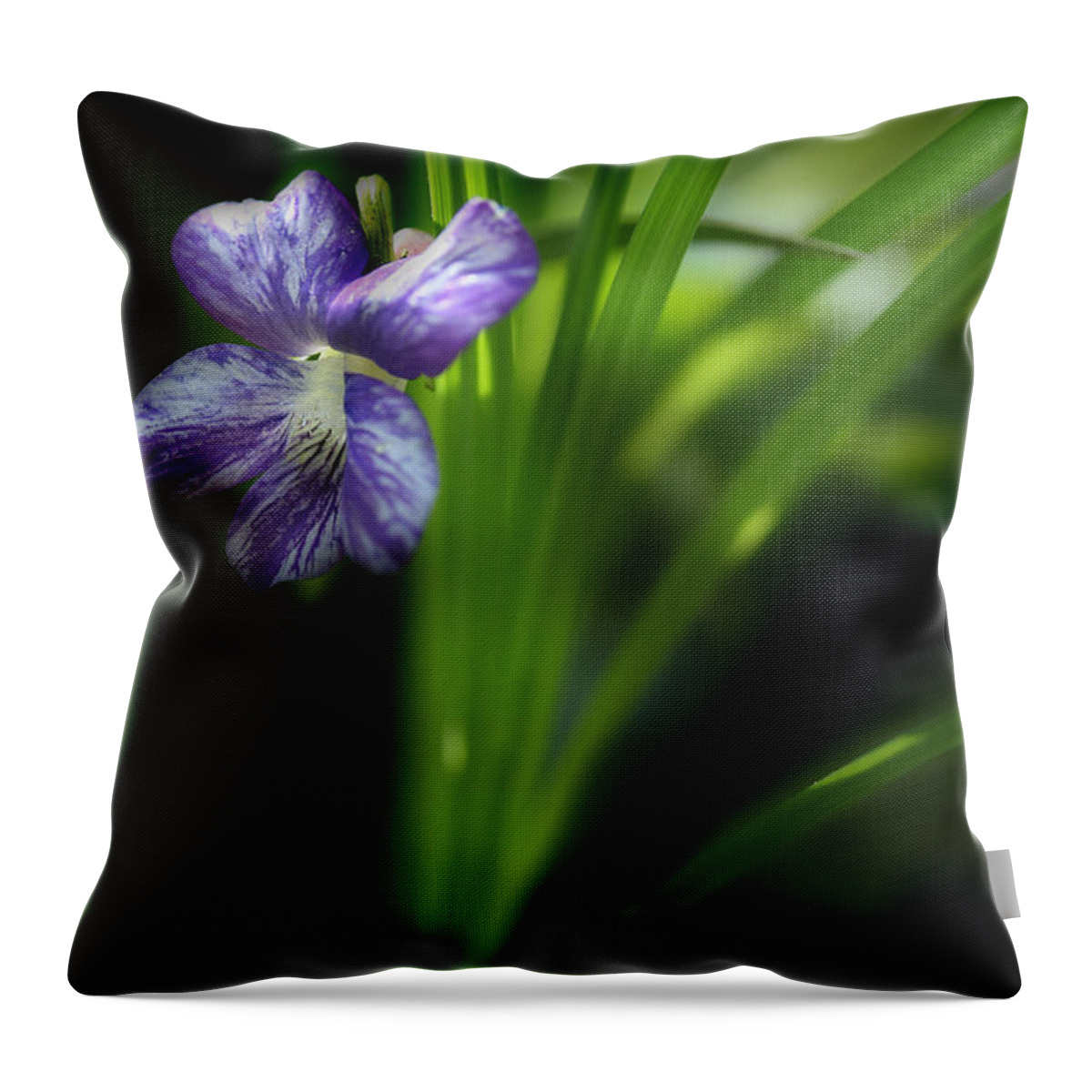 Purple Violet Throw Pillow featuring the photograph One Fine Morning by Michael Eingle