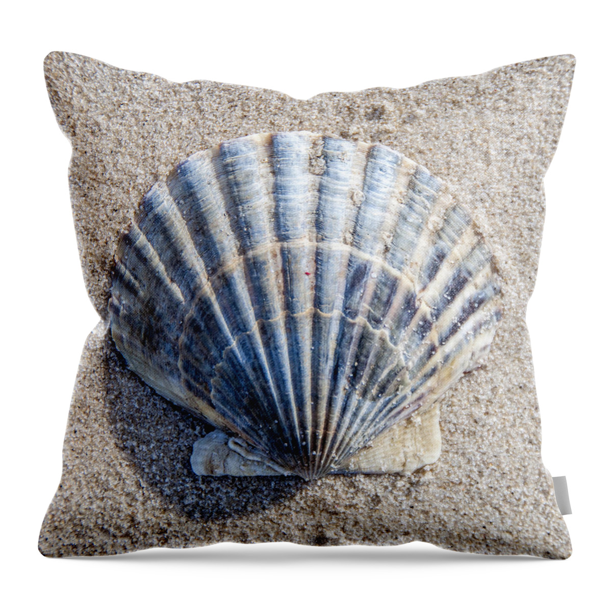 Beach Throw Pillow featuring the photograph One Shell by Cathy Kovarik