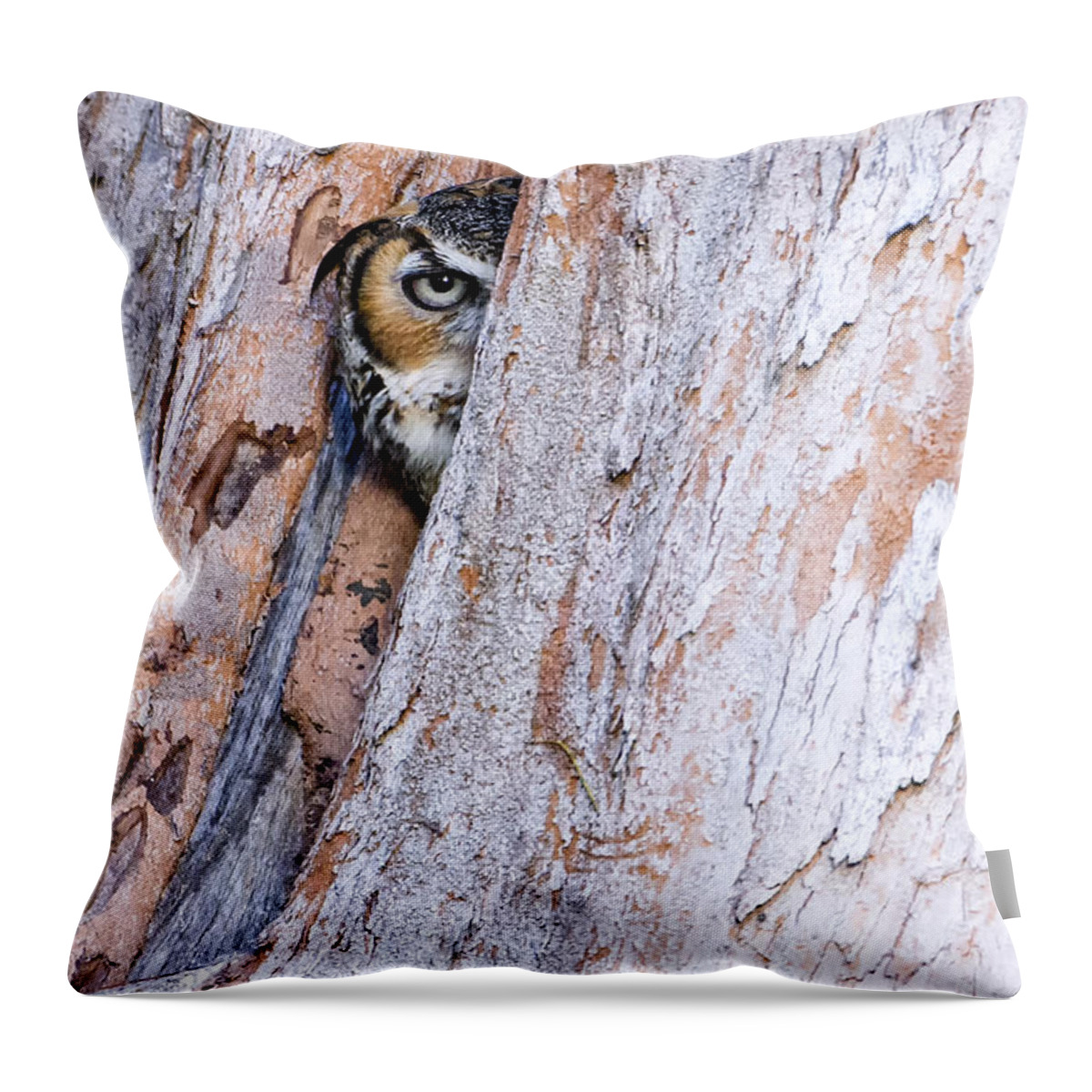 Crystal Yingling Throw Pillow featuring the photograph One Sided by Ghostwinds Photography