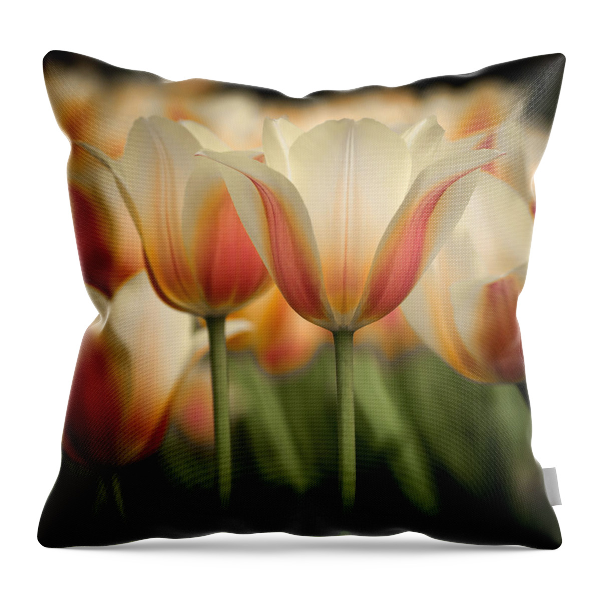 Tulip Throw Pillow featuring the photograph Only Tulips by James Barber