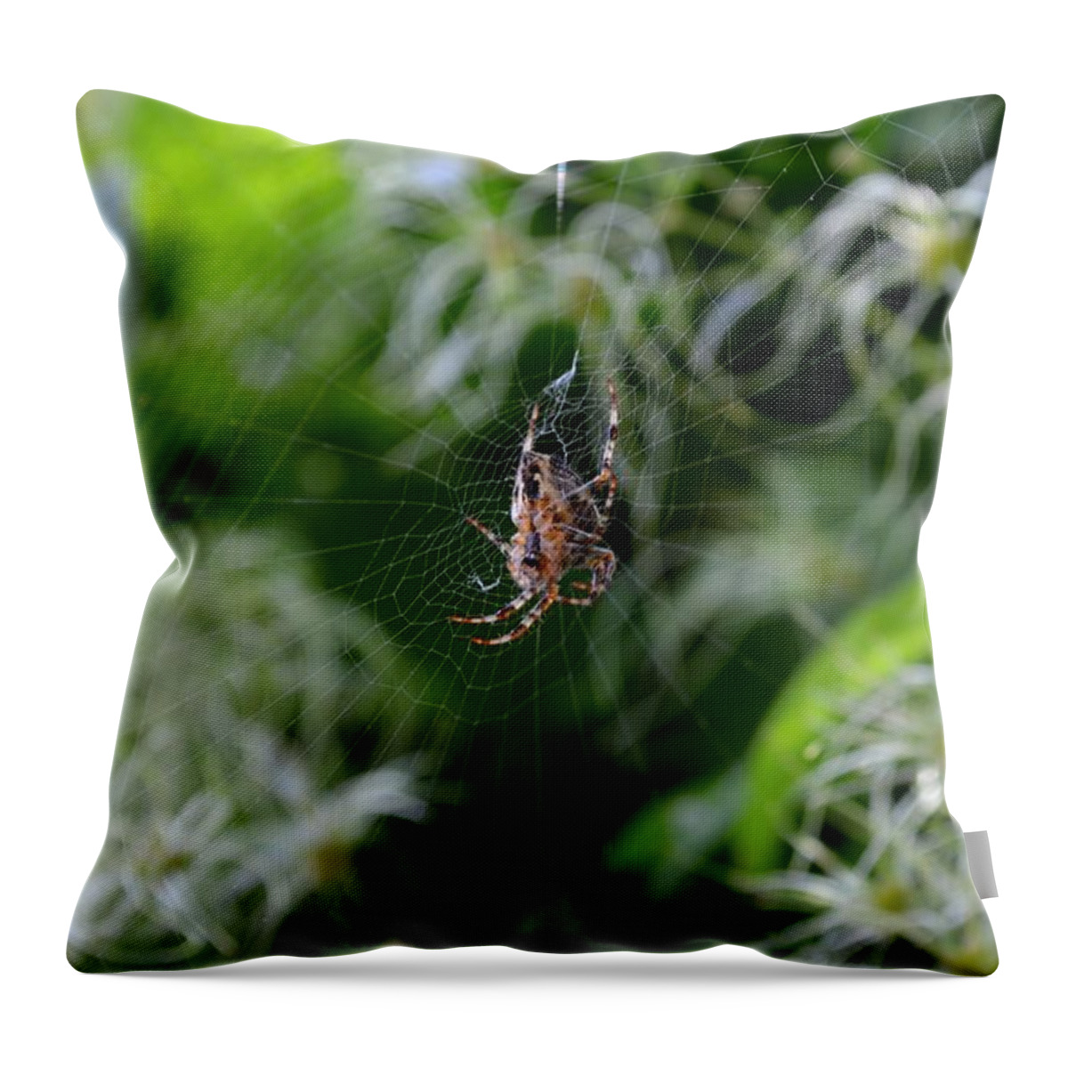 Orb Weaver Spider Throw Pillow featuring the photograph Open Air Market by Laureen Murtha Menzl