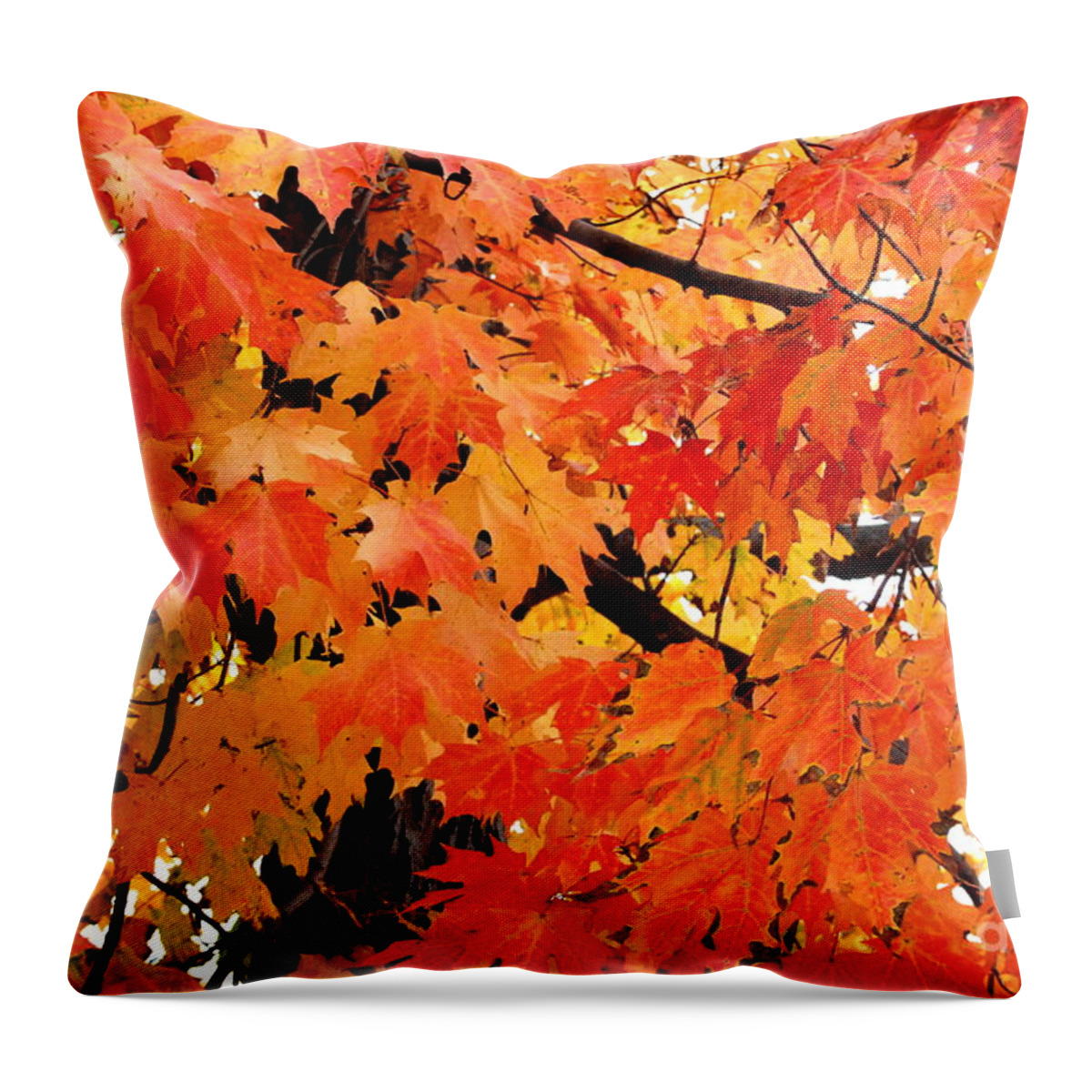 Maple Tree Throw Pillow featuring the photograph Orange And Reds And Some Yellow Too by Eunice Miller