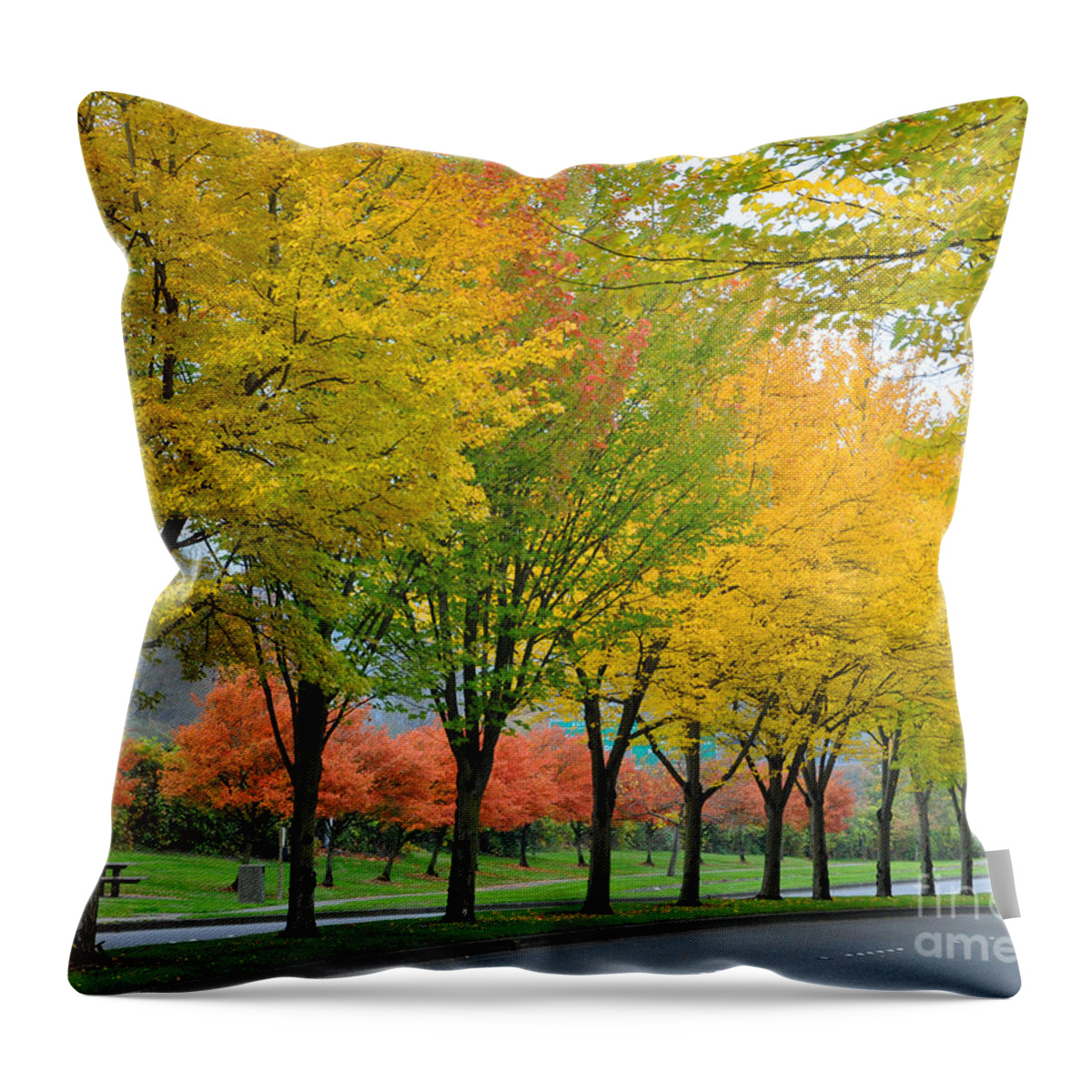 Fall Throw Pillow featuring the photograph Row Of Trees by Kirt Tisdale