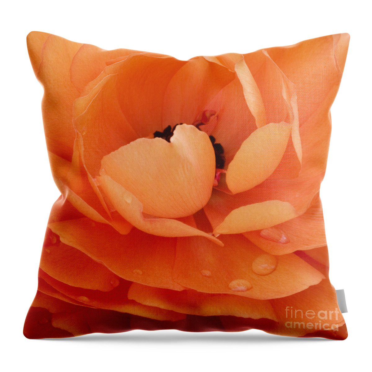 Persian Buttercup Throw Pillow featuring the photograph Orange Delight by Patty Colabuono